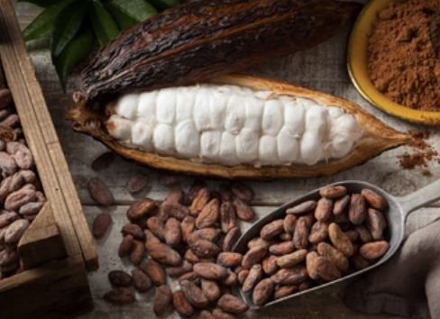 cacao